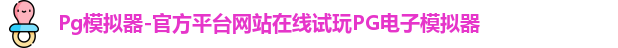 Pg模拟器
